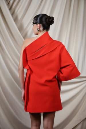 Regush Brinda Red Dress Mini 6